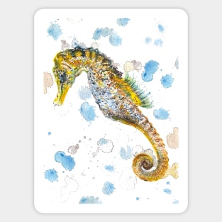 Seahorse Sticker